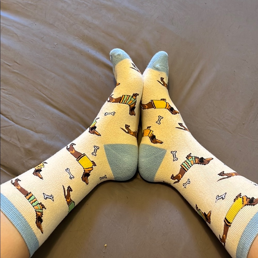 Dog Patterned Blue and Cream Socks